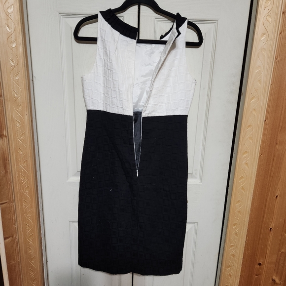 Elegant Black and White Sleeveless Dress - Picture 7 of 11